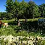 Дом отдыха Dimora Quattro Fontane Конверсано