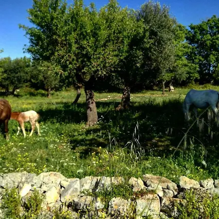 Nyaraló Dimora Quattro Fontane Conversano